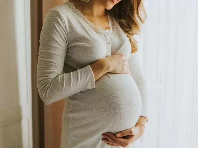 hamilelikte-trimester