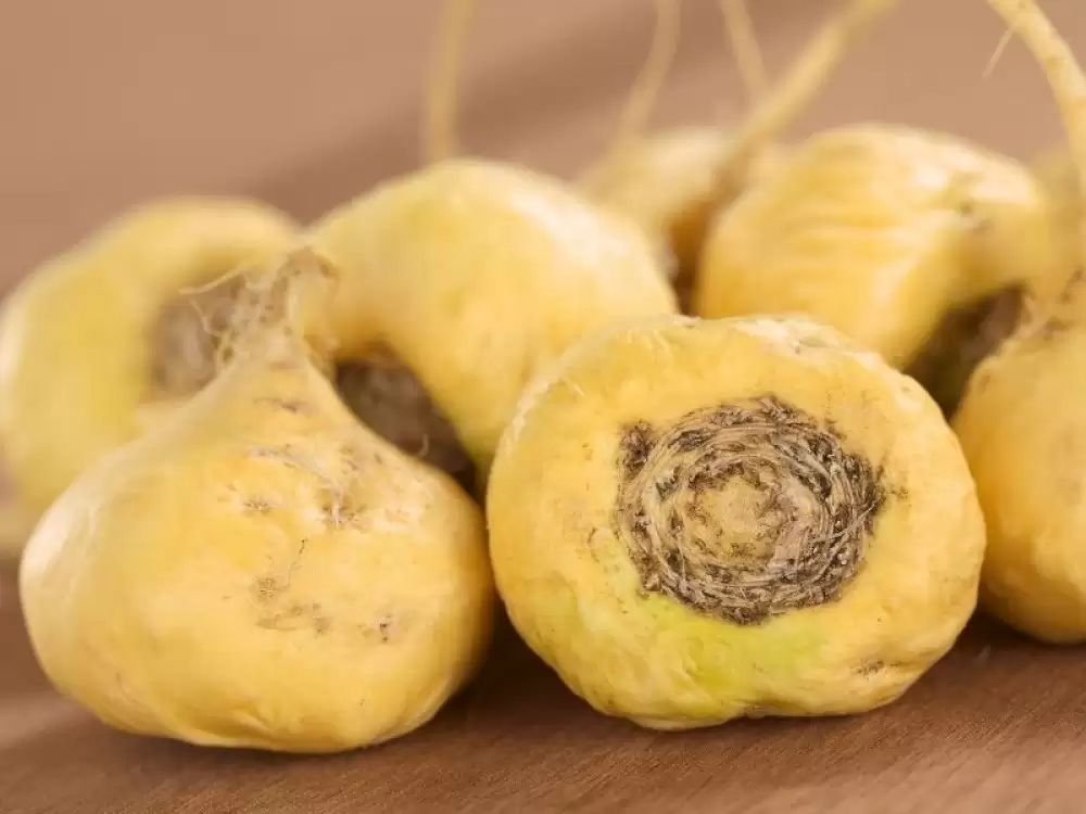 kadin-menopoz-ve-maca